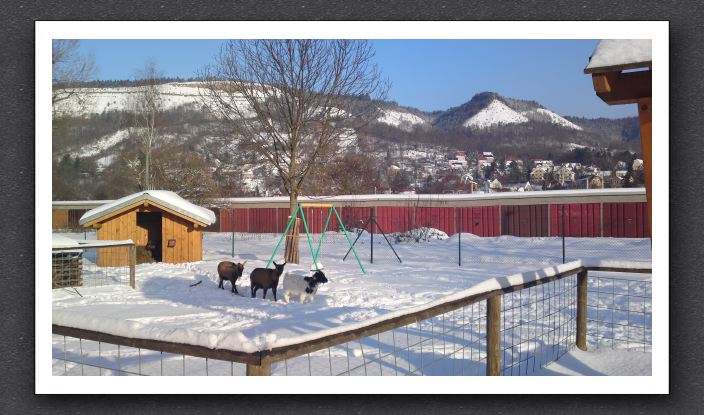 Winter 036