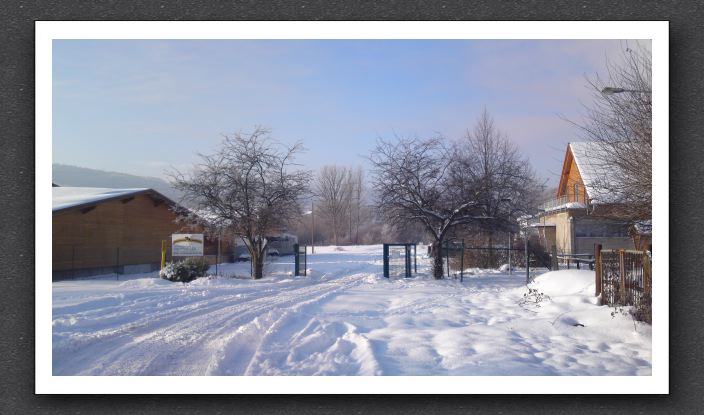 Winter 061