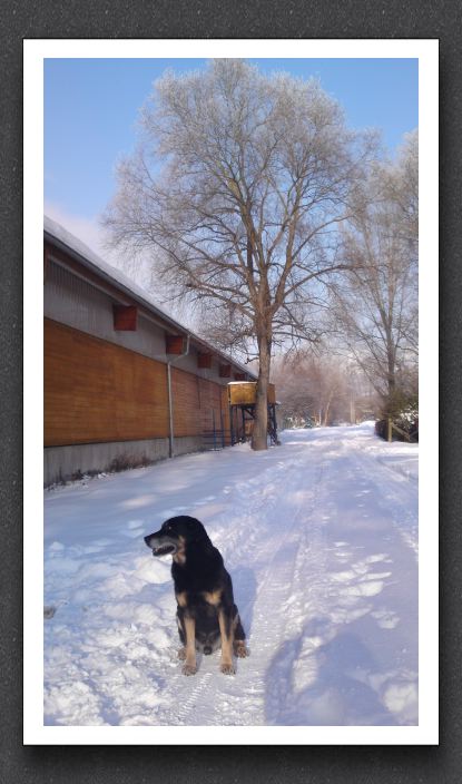 Winter 067