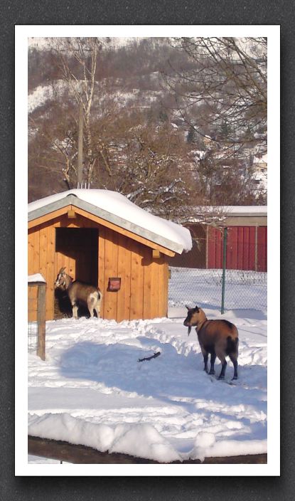 Winter 037