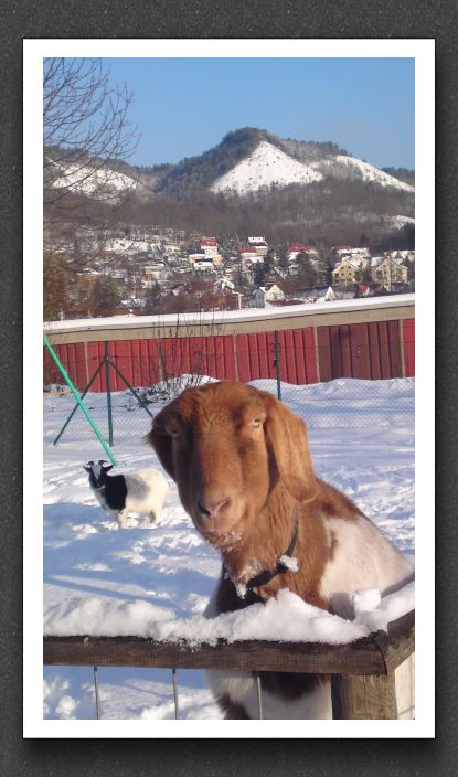 Winter 039