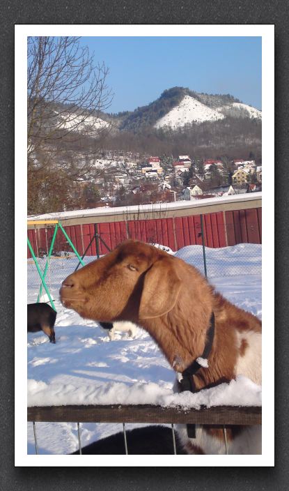 Winter 040