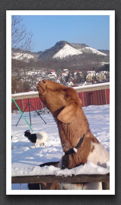 Winter 041