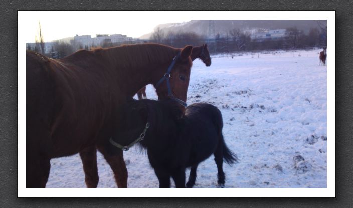 Winter 046
