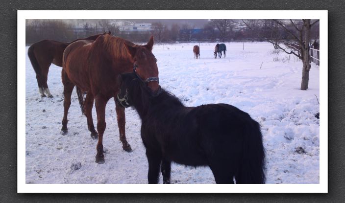 Winter 047