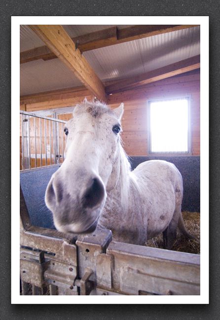 reitsport_MAR0028_1