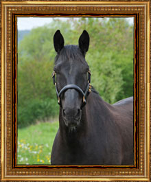 Giovanni, der Starke